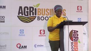 Agribusiness Bootcamp Zambia - Ifisuma Fileisa Multi Purpose Cooperative