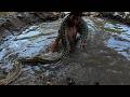 Wild Man vs Giant Python Underwater Battle | Epic Survival Fight in the Lake#WildMan #GiantPython