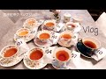 Vlog | 和紅茶飲み比べ | 国産紅茶グランプリ2020 | 紅茶好きの暮らし