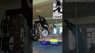 Day 47 Training Astas One Arm Handstand