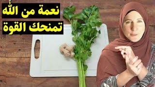 اشرب الزنجبيل بهذه الطريقة الصحيحة ستشكرني طيلة حياتك