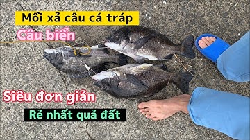 Bài mồi xả câu cá tráp ,iso,ikada Siêu đơn giản Siêu rẻ Siêu tiết kiệm cho anh em không có điều kiện