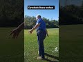 Cartwheels fitness workout.  try it ipman8137 #dailyshorts#yesyoucan #Cartwheels #motivation #health