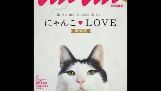 【紹介】アンアン特別編集 にゃんこLOVE 新装版 マガジンハウスムック （マガジンハウス）