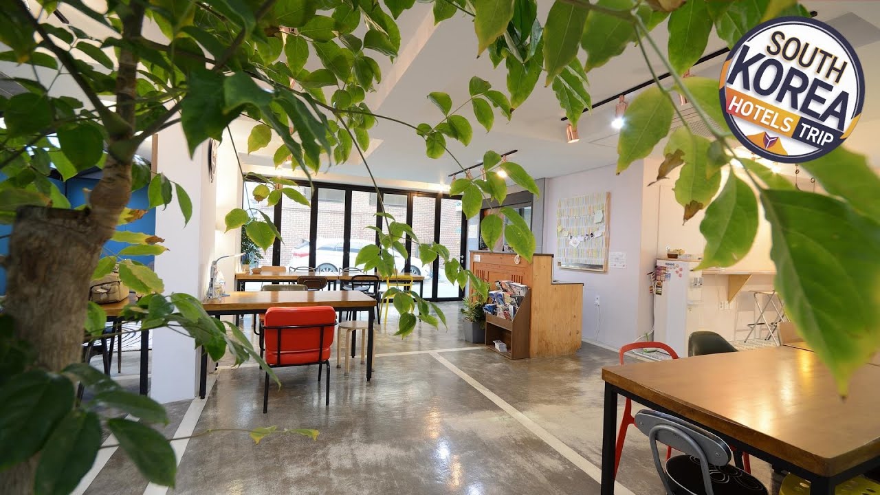 Sunny Hill Hostel Hongdae | Seoul, South Korea | Hotel Review 🏩