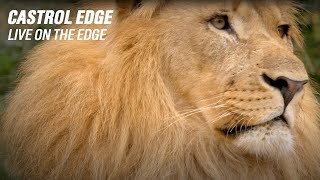 Castrol Edge Live On The Edge