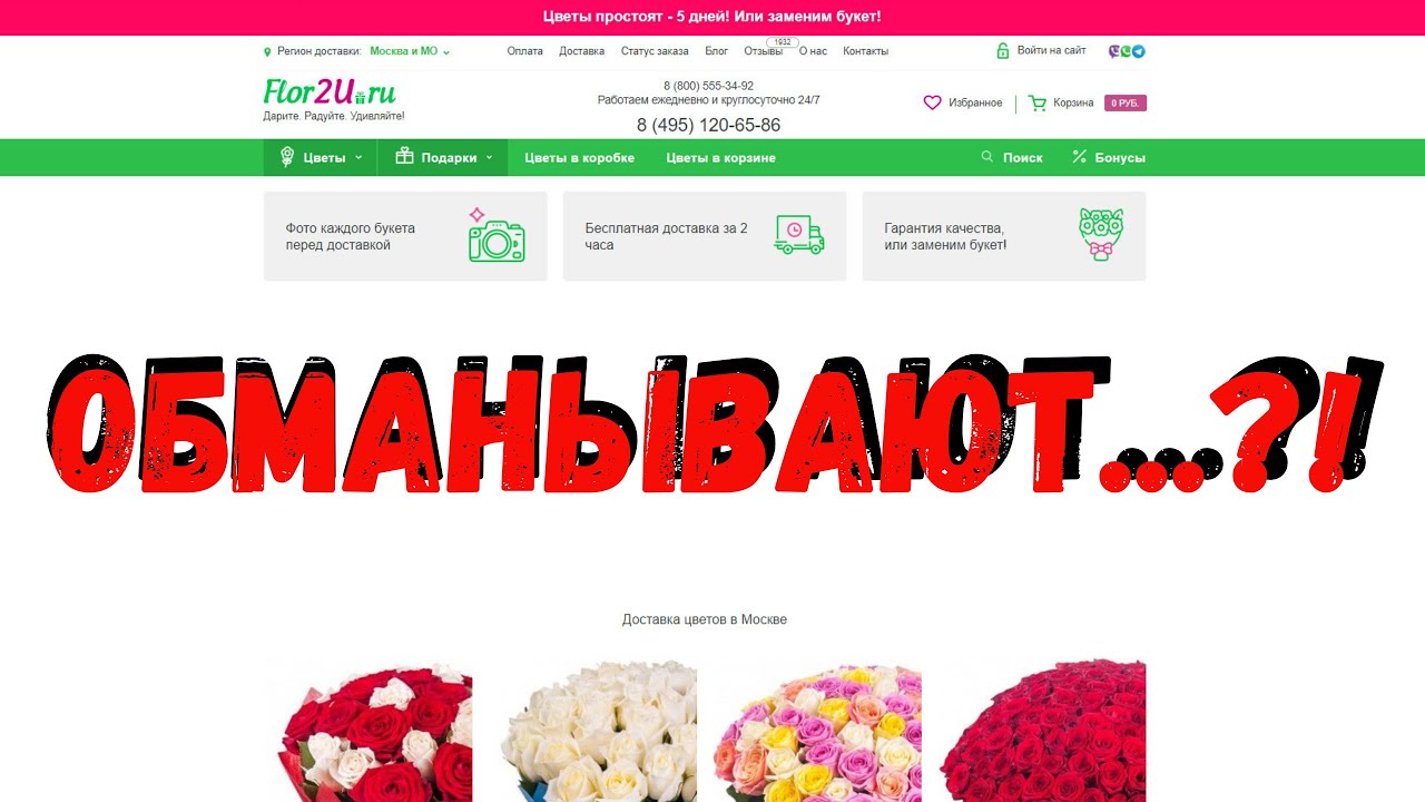 Поиск Растения Интернет Магазин Поиск Растения Интернет Магазин