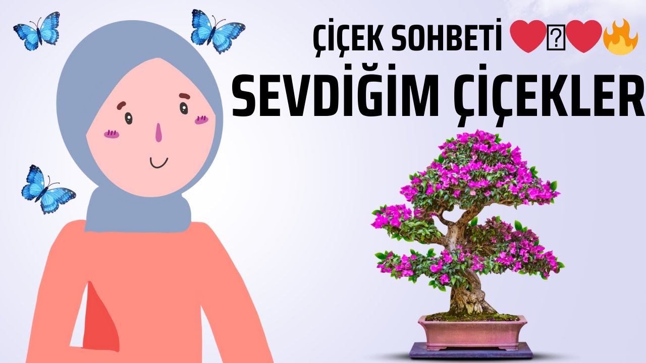 BENİM SEVDİĞİM ÇİÇEKLERİM  ❤️​🩷​❤️‍🔥​