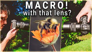 The Canon Rf 85mm f2 Lens...for MACRO??!!