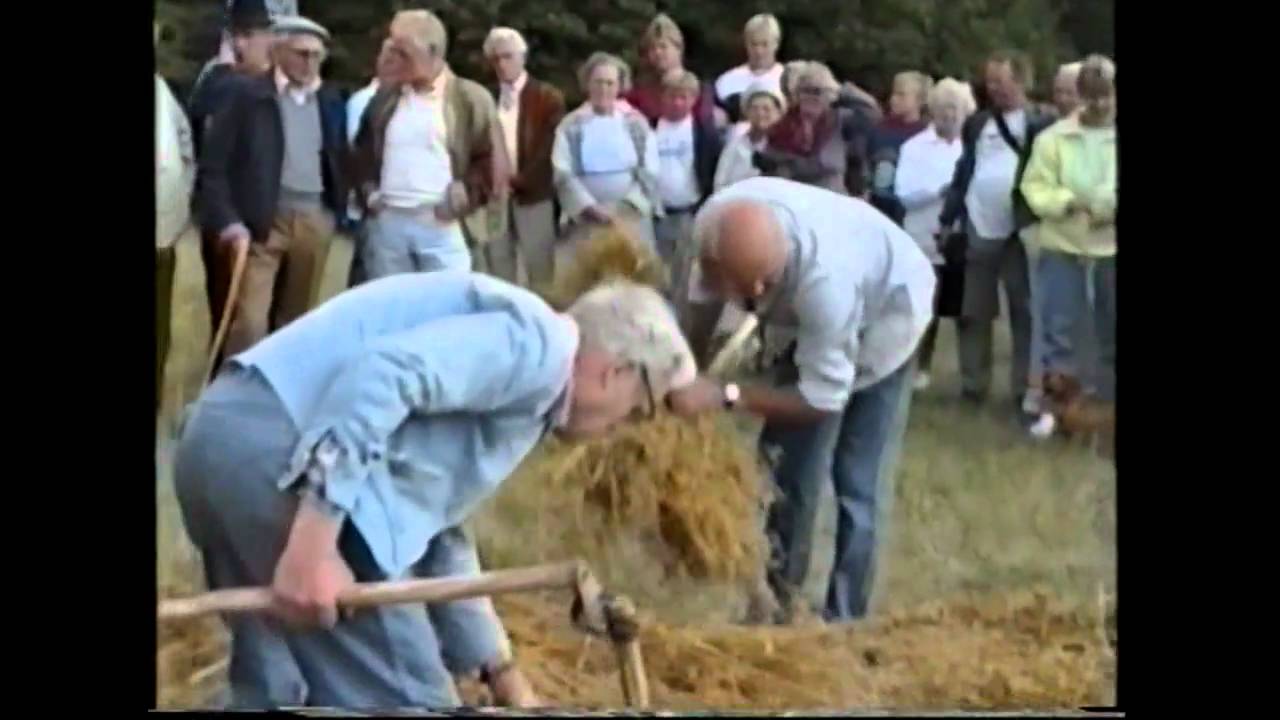 Tröskdag i Näsum september 1991