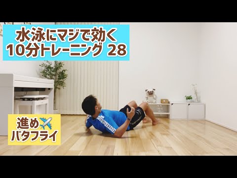 スタビリティートレーニング　基礎編 スタビリティートレーニング 基礎編 スタビリティートレーニング