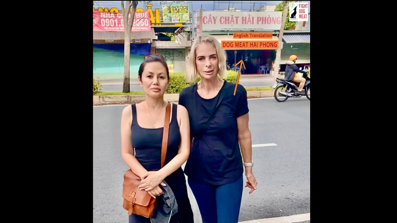 Vietnam: How Tourists Innocently Order Dog Meat