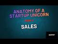 Anatomy of a Startup Unicorn, Part 3 - Sales