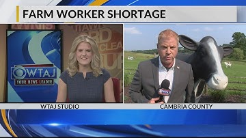 Farm labor shortage nothing new, getting worse, farmers say