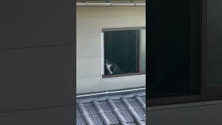 IMG 5496