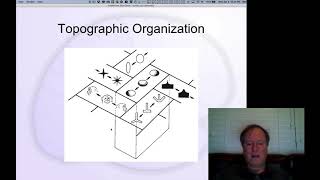 CCN Course 2020, Networks 4: Distributed Representations
