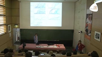 Michel Desaï: "Population Genetics and theory of natural variations"