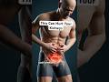 What Happens When You Hold Your Urine Too Long (Inside the Body) #3d #3danimation #anatomy