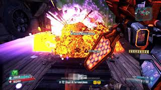 Collecting 600 Anarchy stacks simply (OP8) - Borderlands 2 - Gaige Gameplay