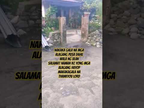 nakaka gala na
