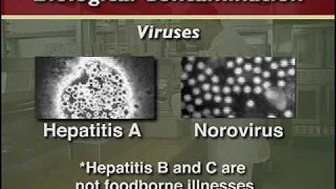 Basic Food Safety Course - Part 1 Introduction