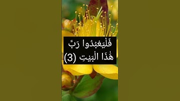 سورة قريش - القارئ: إسلام صبحي