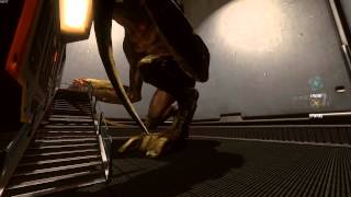 My Top 10 Developer Easter Eggs in Video Games 2014-2015