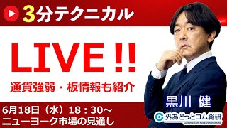 見通しズバリ！3分テクニカル分析「ライブ‼」 NY市場の見通し　2025年6月18日