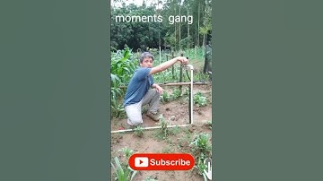 Ide Kreatif Membuat Alat Penyiraman Tanaman