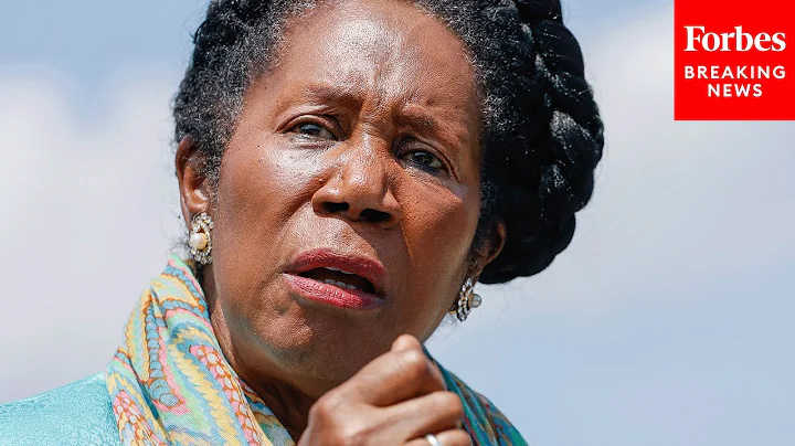 Sheila Jackson Lee: We Cannot Leave Without Passin...