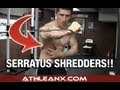 The FORGOTTEN Core Muscles Workout - Serratus Shredders!