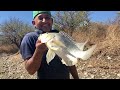 Pesca Dedicada A Mi Maestro Y Amigo Chori |A Ver Que Sacamos Pesca Y Detección