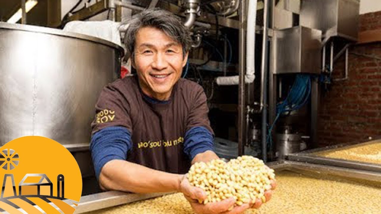 video Sun Basket Review