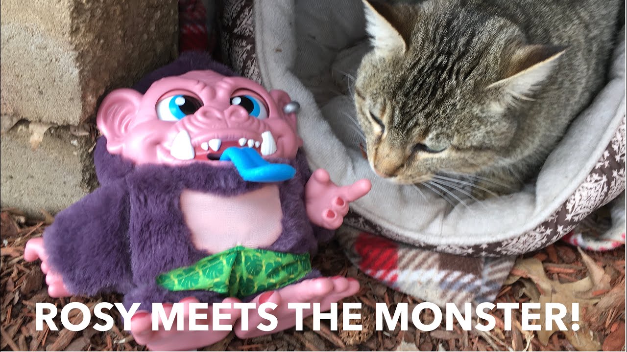 Rosy Meets the MONSTER! - YouTube