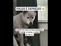 È STARZIANTE VEDERLO COSÌ☹️ #amorepuro