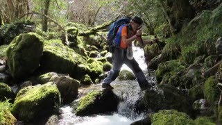 O TEIXADAL DE CASAIO ERMITA NUEVA DE SAN XIL BOSQUE DE TEJOS Y ACEBOS ERMITA NUEVA DE SAN XIL 25