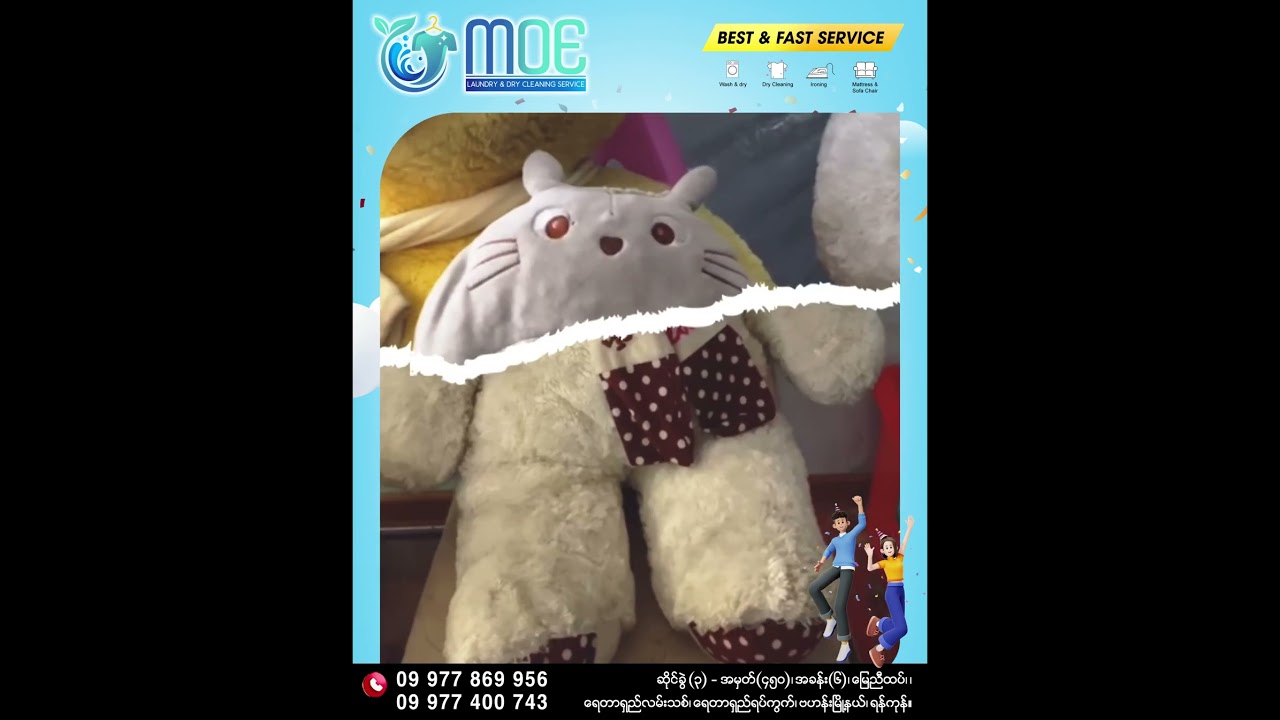 Premium Toy Washing...