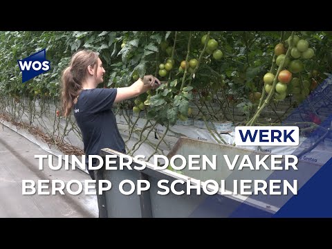 Video: Vakansie Van Tuiniers In Die Ontspanningsentrum 