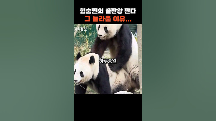러바오가 야생에 있었다면 벌어졌을 야생 판다의 놀라운 비밀