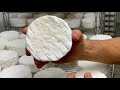 Natural farmhouse Camembert - Il Camembert fermier Naturale