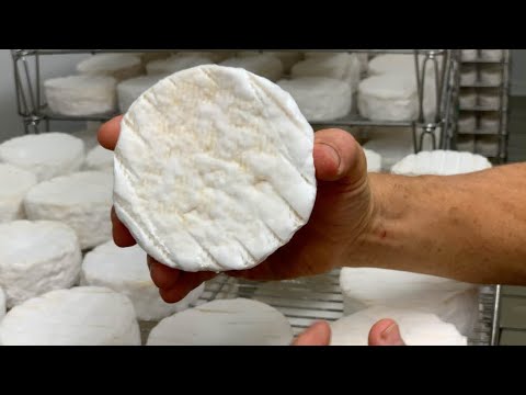 Video: Il Bourbon Di Basil Hayden Collabora Con Utah Cheese Maker