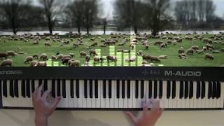 羊と鋼の森エンディング　辻井くんMステピアノ・ソロバージョン