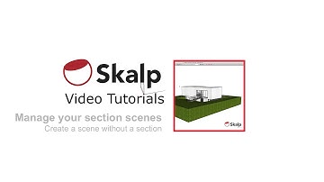 Skalp Video Tutorial: Create a scene without a section.