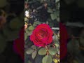 jab koi acha lagta hai # love song