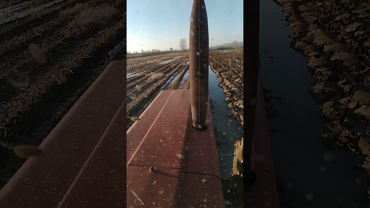 Case International 1055 Όργωμα 2018