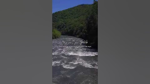 خالد الجليل سورة (النحل) ترتيل رائع ♥️♥️