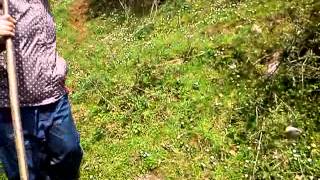 MOV00611