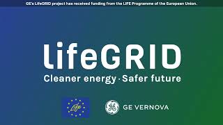 INP Greifswald and Brno University of Technology contribute towards GE Vernova’s LifeGRID Project