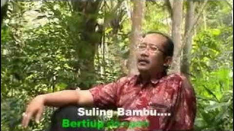 SULING BAMBU Song By P Zain With Lyrics