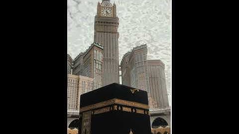 سورة الذاريات 41-44 القارئ زيد عبدالقادر